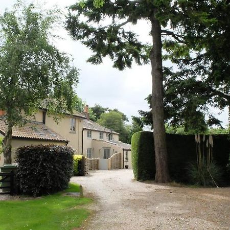 Pippin Heath House B&B Holt  Esterno foto